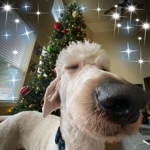 Meet your Posher, Gabe